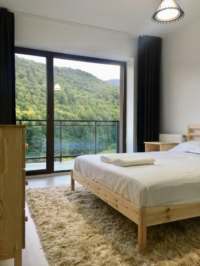 Nature View Apartment Brasov Exterior photo