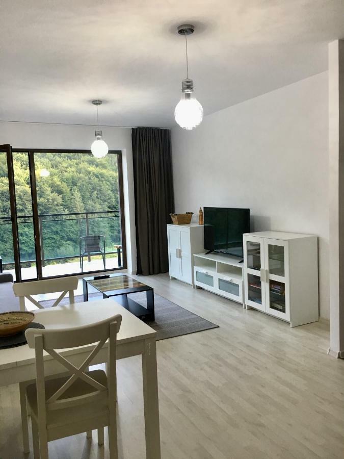 Nature View Apartment Brasov Exterior photo
